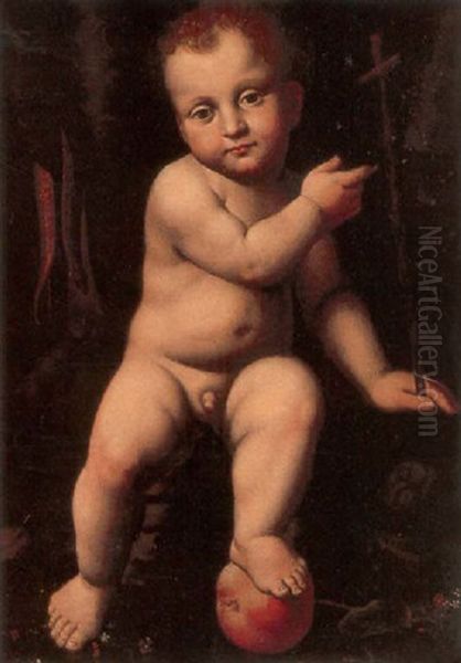 The Infant Saint John Oil Painting by Bernardino Luini