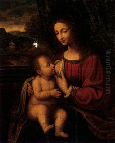 The Madonna Del Latte Oil Painting by Bernardino Luini