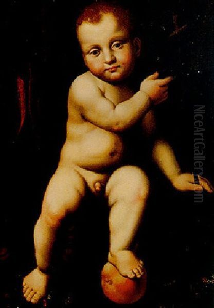 The Infant Saint John Oil Painting by Bernardino Luini