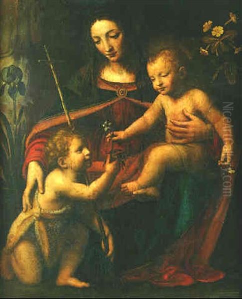 La Vierge Et L'enfant Avec Saint Jean-baptiste Oil Painting by Bernardino Luini