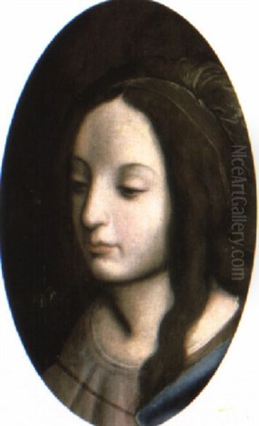 A Head Of A Woman Oil Painting by Bernardino Luini