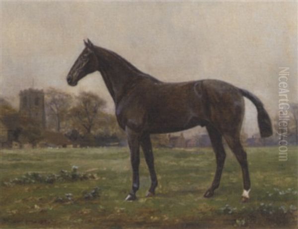 A Dark Brown Horse In A Paddock Oil Painting by William Luker Jr.