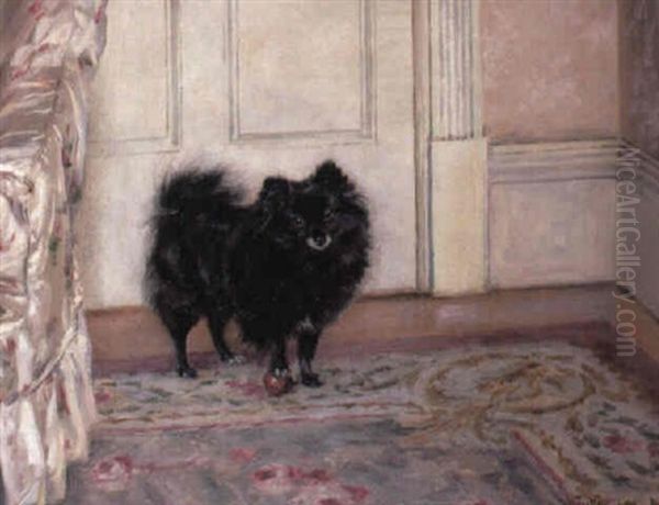 Black Pomeranian With A Ball Oil Painting by William Luker Jr.