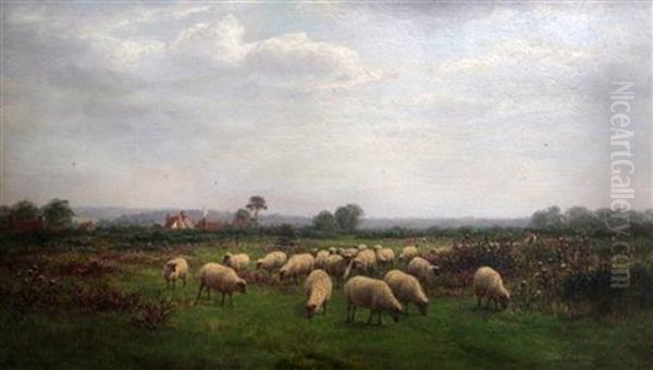 Sheep In A Meadow At Nuffield Oil Painting by William Luker Sr.