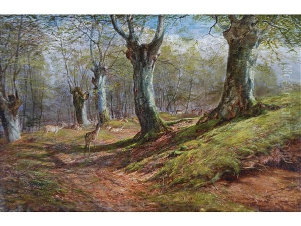 Deer In Burnham Beeches Oil Painting by William Luker Sr.