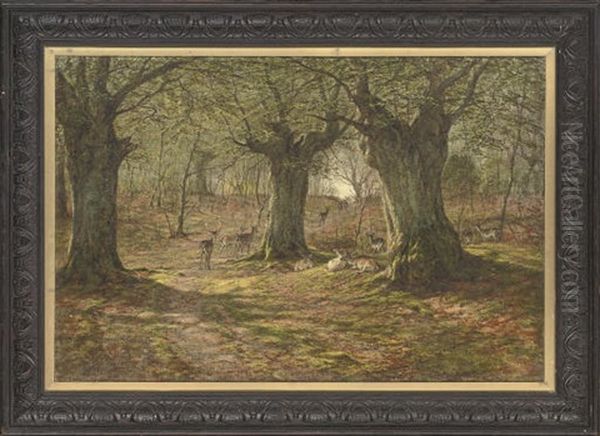 Deer In Burnham Beeches, Buckinghamshire Oil Painting by William Luker Sr.