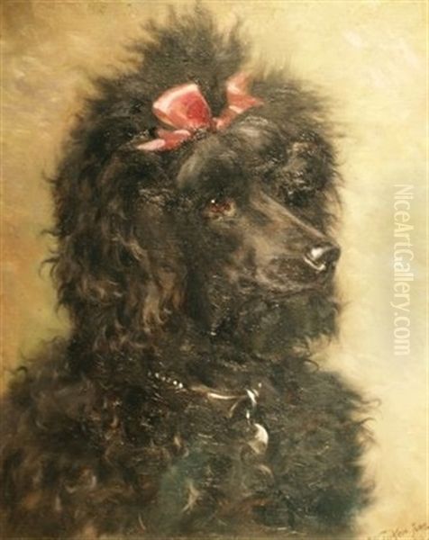 Portrait Of A Black Poodle With A Pink Bow Oil Painting by William Luker Sr.