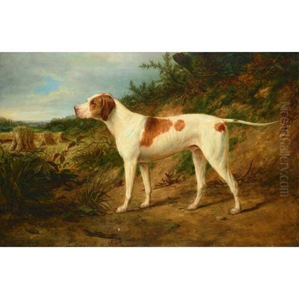 The Stud Pointer 