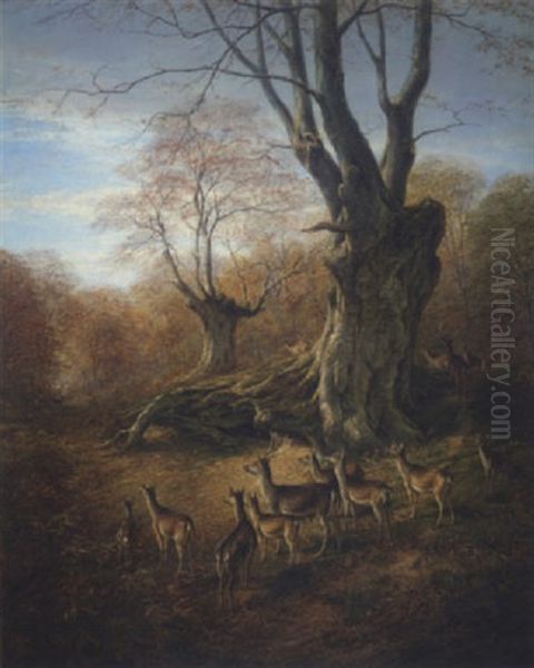 Deer In The New Forest Oil Painting by William Luker Sr.