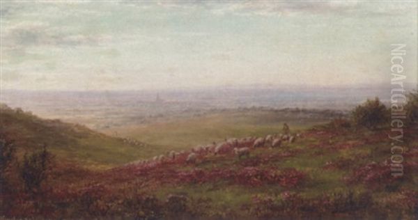 Kingley Vale Looking Towards Chichester, West Sussex Oil Painting by William Luker Sr.