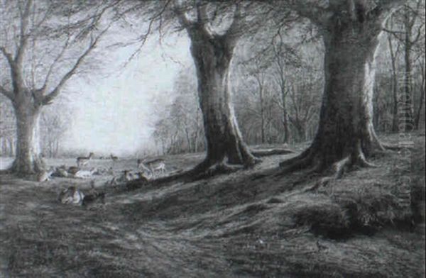 Deer Resting In A Woodland Glade Oil Painting by William Luker Sr.