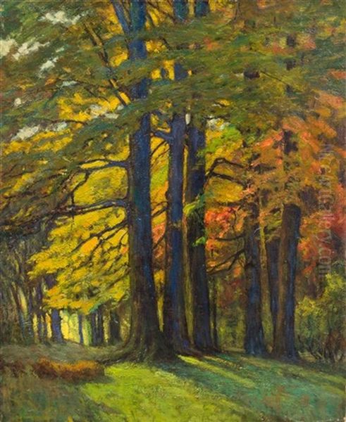 Study Of Trees Oil Painting by Harriet Randall Lumis