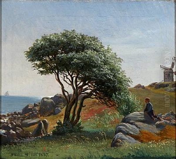 Danish Summer Landscape With A Boy Who Enjoys The View Of The Ocean Sitting On A Cliff Oil Painting by Frederik Christian Lund