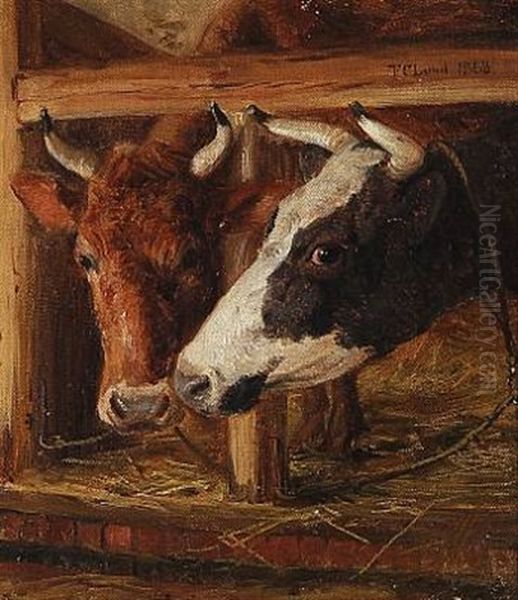 Two Cows In A Stable Oil Painting by Frederik Christian Lund