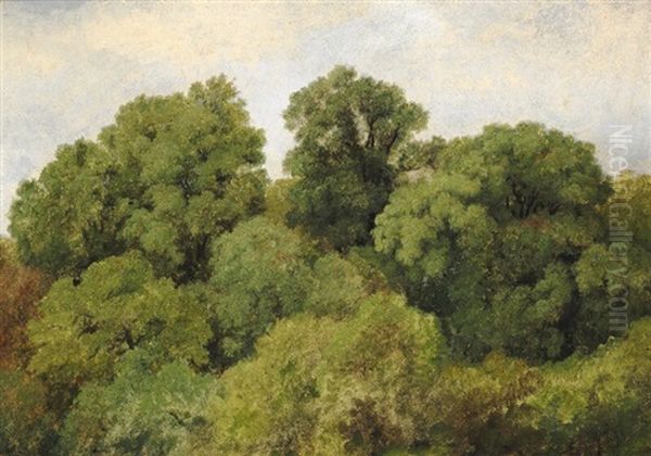 Study Of Treetops Oil Painting by Johan Thomas Lundbye