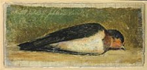 Study Of A Dead Swallow Oil Painting by Johan Thomas Lundbye