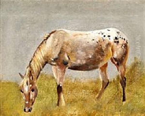 Studie Af En Knabstrupper-hest Oil Painting by Johan Thomas Lundbye