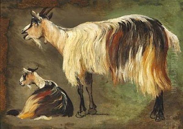 Two Standing And Lying Longhaired Goats. Study Oil Painting by Johan Thomas Lundbye