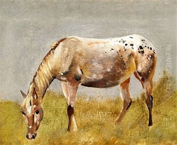 Studie Af En Knabstrupper-hest Oil Painting by Johan Thomas Lundbye