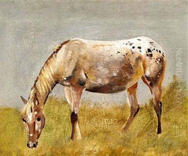 Studie Af En Knabstrupper-hest Oil Painting by Johan Thomas Lundbye