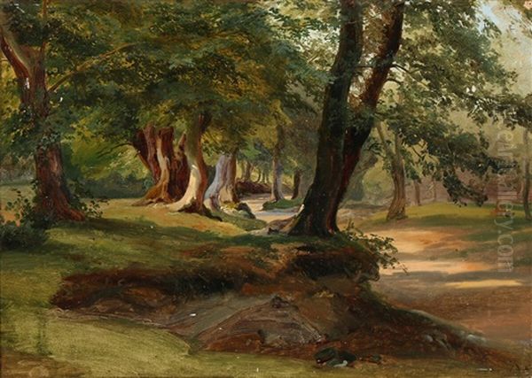 A Forest Path With Light Coming Through The Trees Oil Painting by Anders Christian Lunde