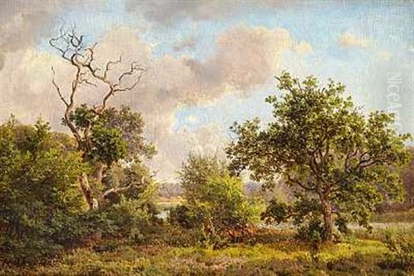 En Sommerdag Ved Bollemosen Oil Painting by Anders Christian Lunde