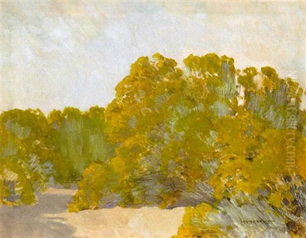 A Grove Of Trees In The Sun Oil Painting by Fernand Harvey Lungren