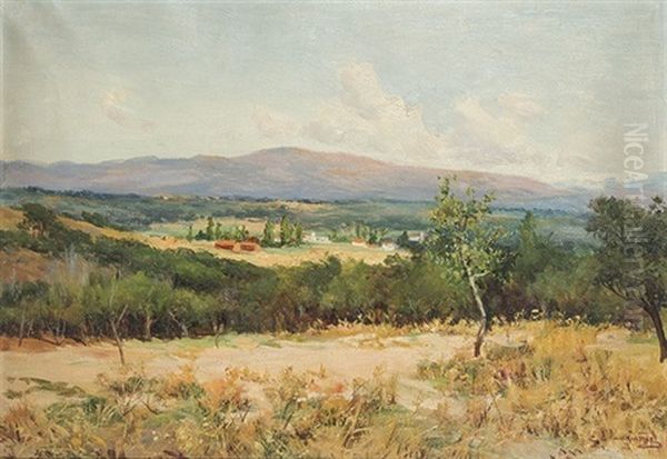 La Dehesa De La Villa, Madrid Oil Painting by Jose Lupianez y Carrasco