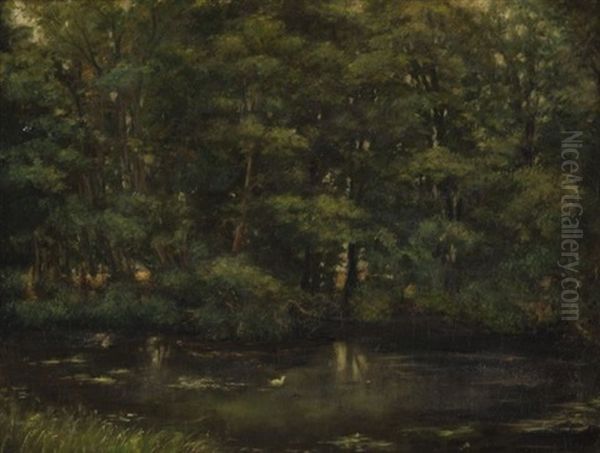 Etang Sous Bois Oil Painting by Frans Van Luppen