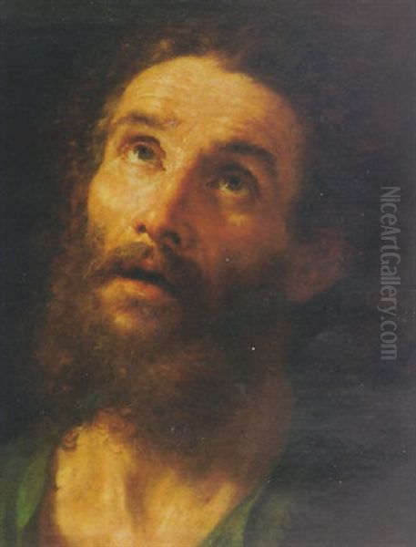 Head Of Saint Simon Zealotes Oil Painting by Benedetto Luti