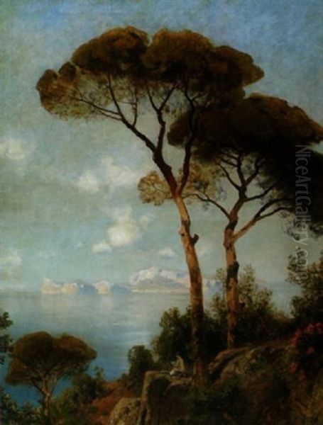 Blick Auf Capri In Der Abendsonne Oil Painting by Ascan Lutteroth