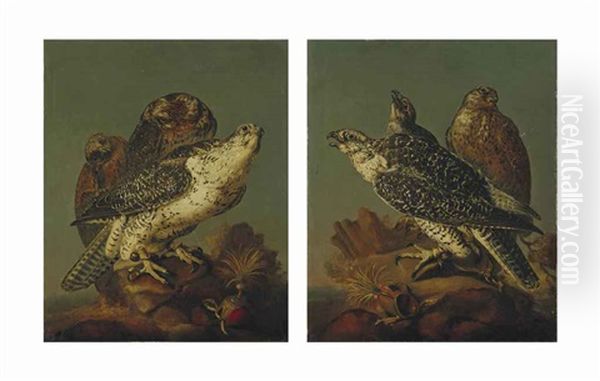 Faucons Et Milans (pair) Oil Painting by Christiaan Luycks