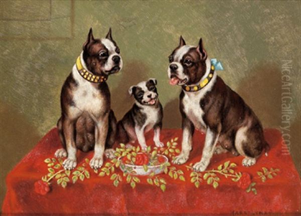 Boston Terrier Oil Painting by Harry Lyman