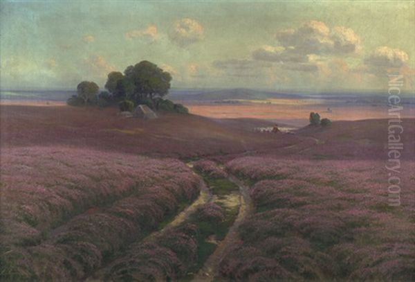 Auf Bluhender Heide: Spatsommer In Der Luneburger Heide by Arnold Lyongrun