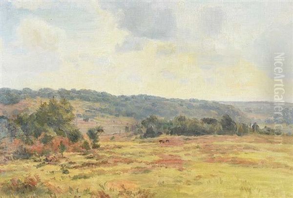 View Of The New Forest Oil Painting by Carlile Henry Hayes Macartney