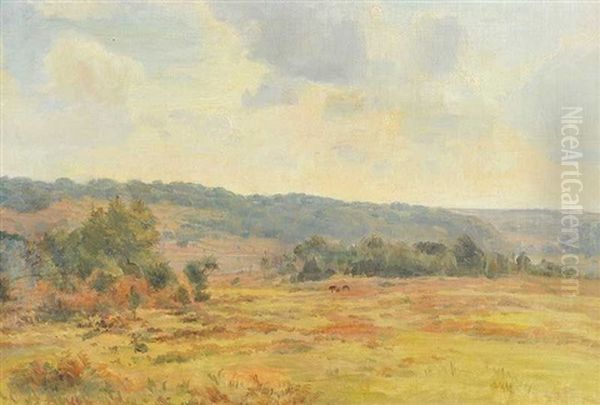 View Of The New Forest Oil Painting by Carlile Henry Hayes Macartney