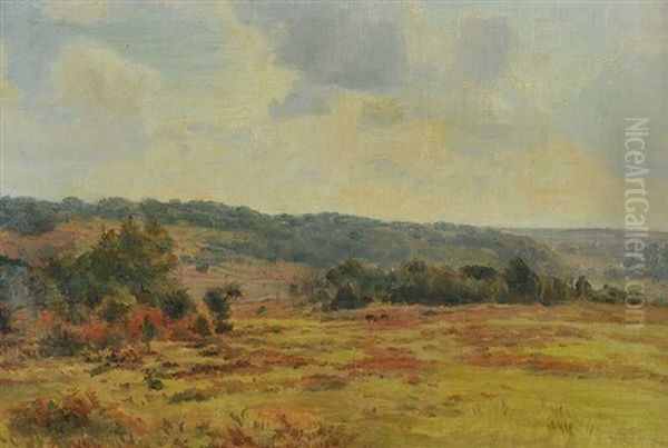 View Of The New Forest Oil Painting by Carlile Henry Hayes Macartney