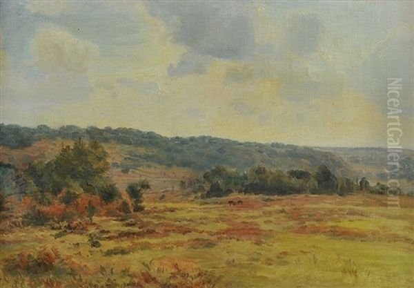 View Of The New Forest Oil Painting by Carlile Henry Hayes Macartney