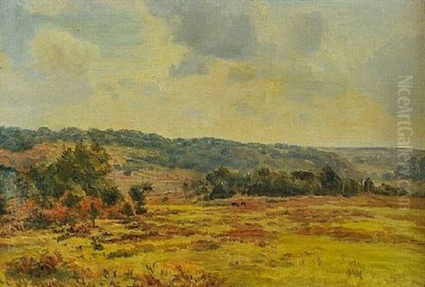 View Of The New Forest Oil Painting by Carlile Henry Hayes Macartney