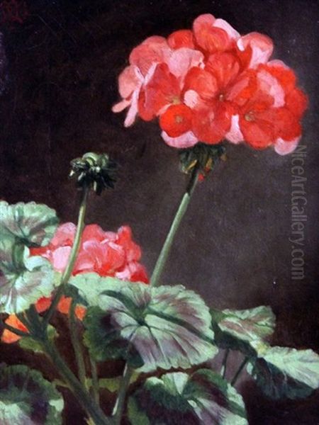 Pelegonian Blooms Oil Painting by Norman Macbeth