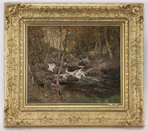 Untitled (woodland Stream) Oil Painting by William Macbride