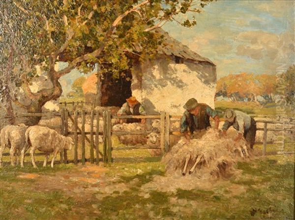 Sheep Shearing Oil Painting by William Macbride