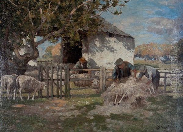 Sheep Shearing Oil Painting by William Macbride