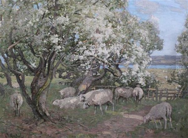 Sheep Grazing Beneath Blossoming Trees Oil Painting by William Macbride