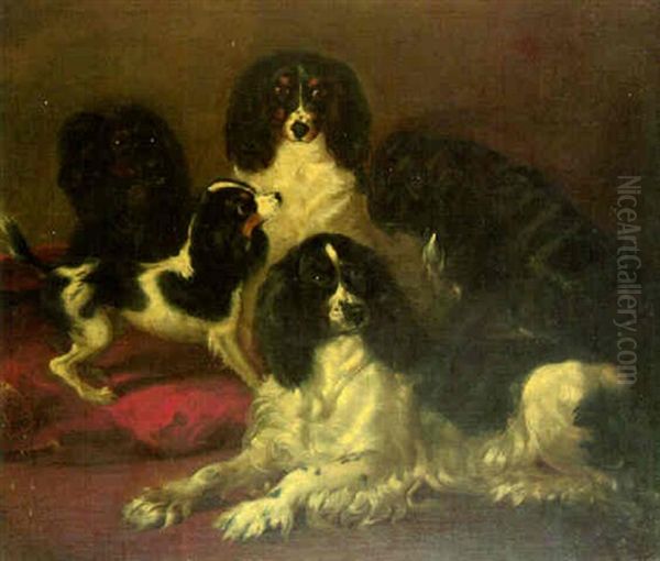 A Group Of Toy Spaniels Oil Painting by Daniel MacDonald