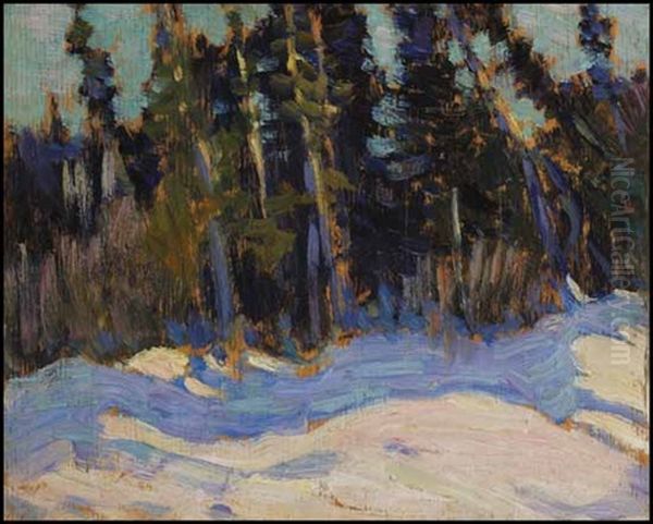 The Swamp, Algonquin Park Oil Painting by James Edward Hervey MacDonald