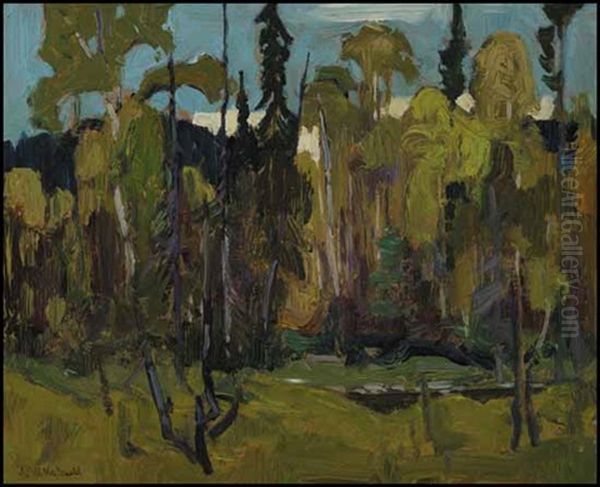 Open Bush, Algoma Oil Painting by James Edward Hervey MacDonald