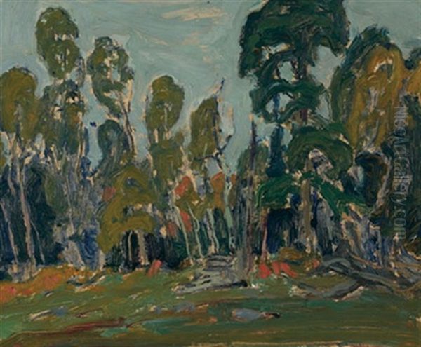 Edge Of The Bush Oil Painting by James Edward Hervey MacDonald