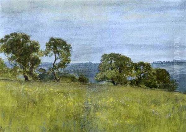 Summer Meadow And Trees Oil Painting by James Edward Hervey MacDonald