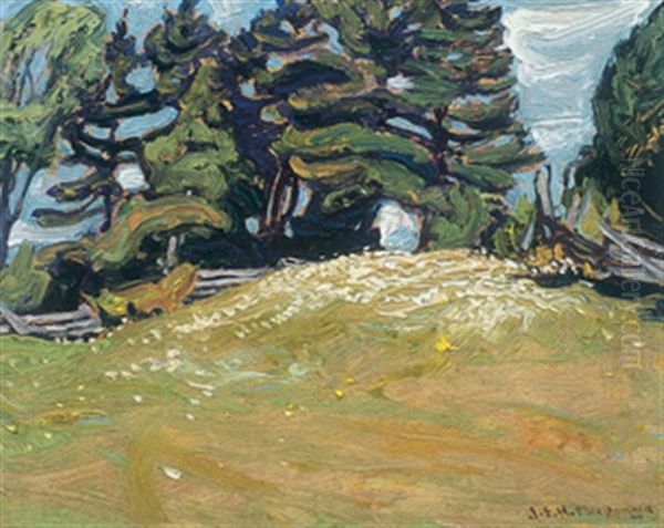 Edge Of The Field Oil Painting by James Edward Hervey MacDonald